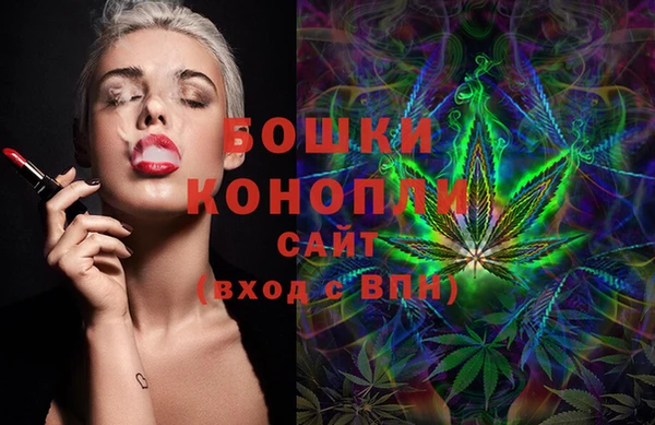 тгк Новодвинск