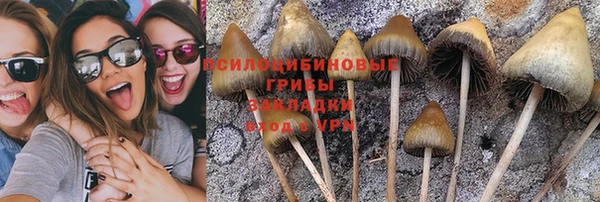 apvp Абинск