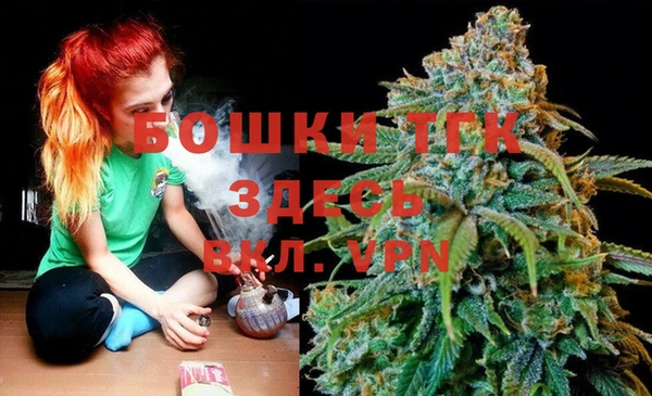 тгк Новодвинск