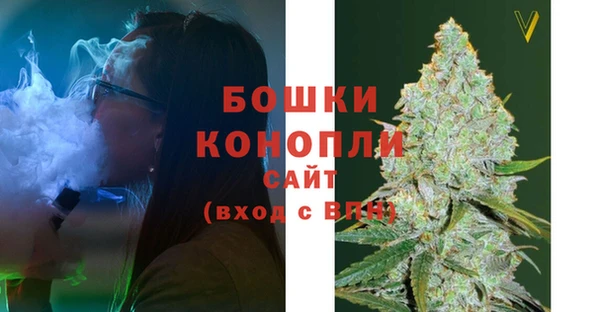 ГАЛЛЮЦИНОГЕННЫЕ ГРИБЫ Новокубанск