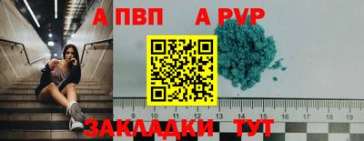мяу мяу мука Тара