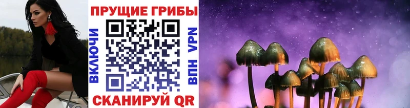 Псилоцибиновые грибы прущие грибы  наркотики  Янаул 