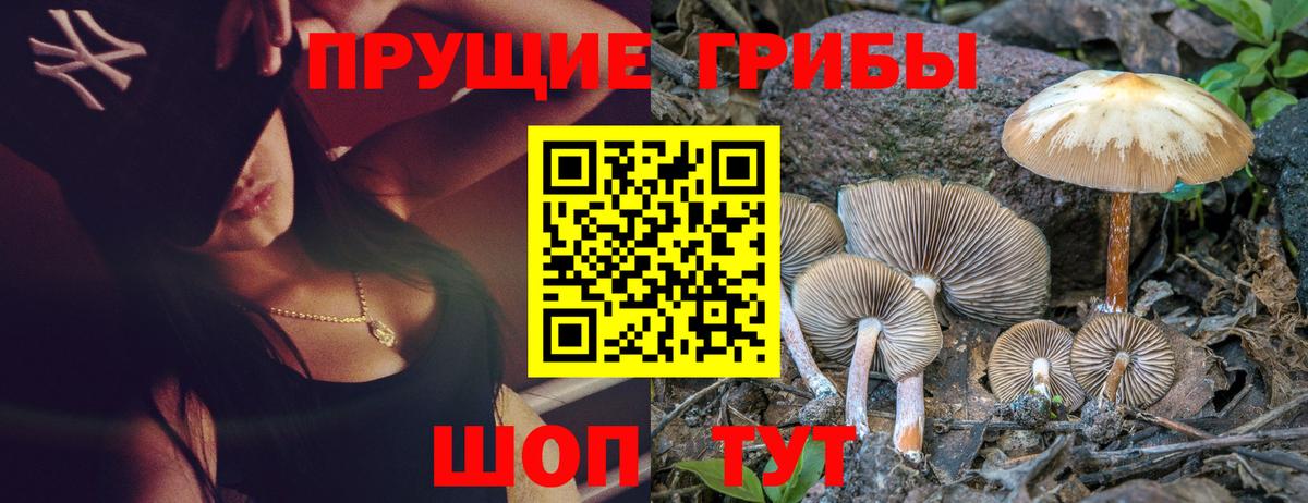 Галлюциногенные грибы мухоморы  Вход с VPN  Янаул  Псилоцибиновые грибы MAGIC MUSHROOMS 