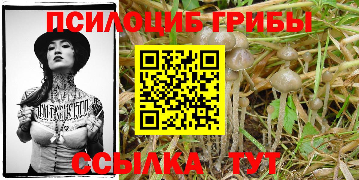 Галлюциногенные грибы мицелий Янаул